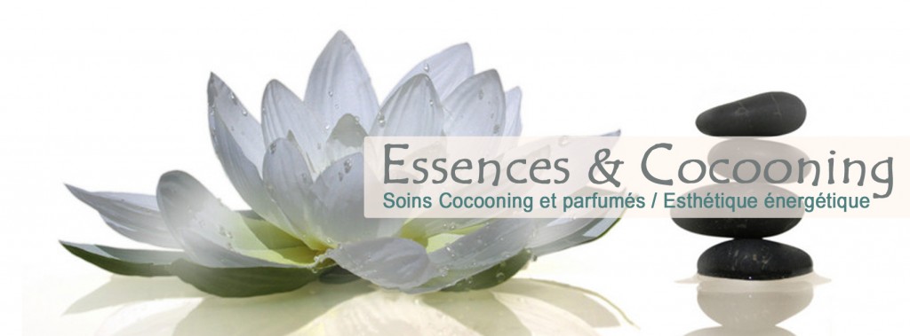 identité visuelle essences & cocooning