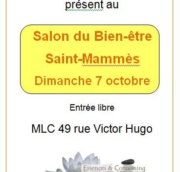 affiche salon du bien-être de saint-mammès 7 octobre 2018