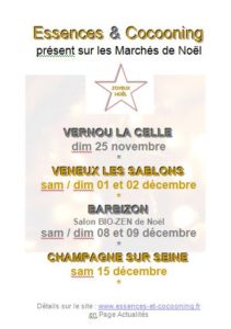 affiche vitrine présence aux marchés de noël